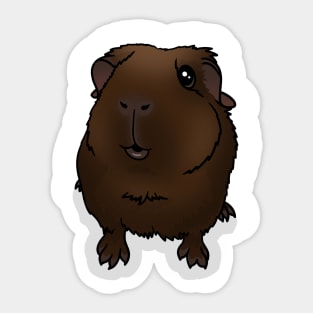 Chocolate Brown Guinea Pig Sticker